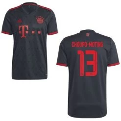 Adidas FC BAYERN MÜNCHEN Trikot 3rd Herren 22 / 23 - CHOUPO-MOTING 13