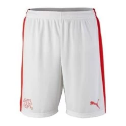 Puma SCHWEIZ Hose Away Herren 2015 / 2016