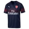 Puma FC ARSENAL Trikot Away Herren 2018 / 2019