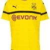 Puma BVB BORUSSIA DORTMUND Trikot Cup Herren Gelb 2018 / 2019