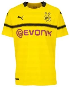 Puma BVB BORUSSIA DORTMUND Trikot Cup Herren Gelb 2018 / 2019