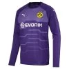 Puma BVB BORUSSIA DORTMUND Trikot Torwart Herren Lila 2018 / 2019