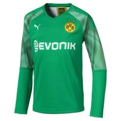 Puma BVB BORUSSIA DORTMUND Trikot Torwart Kinder Grün 2019 / 20
