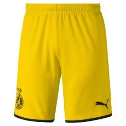 Puma BVB BORUSSIA DORTMUND Hose Herren Gelb 2019 / 20