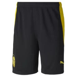 Puma BVB BORUSSIA DORTMUND Hose Herren Schwarz-gelb 20 / 21