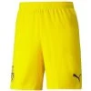 Puma BVB BORUSSIA DORTMUND Hose Herren Gelb 21 / 22