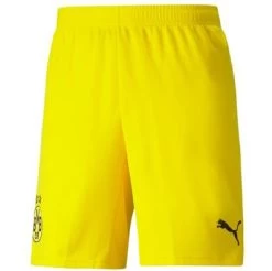 Puma BVB BORUSSIA DORTMUND Hose Herren Gelb 21 / 22