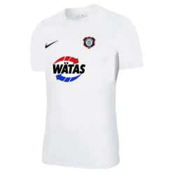 Nike FC ERZGEBIRGE AUE Trikot Away Herren 21 / 22