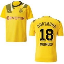 Puma BVB BORUSSIA DORTMUND Trikot CUP Kinder 22 / 23 -Bester Sporttrikot Geschäft BVB 3rd 23 18 3