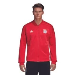 Adidas FC BAYERN MÜNCHEN Anthem Jacke Home Herren -Bester Sporttrikot Geschäft CY6107 OnModelStandardView