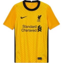 Nike FC LIVERPOOL Trikot Torwart Kinder 20 / 21
