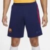 Nike FC BARCELONA Hose Herren Dunkelblau