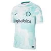 Nike INTER MAILAND Trikot Away Herren 22 / 23