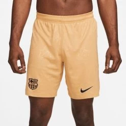Nike FC BARCELONA Hose Away Herren 22 / 23