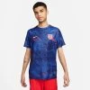Nike ENGLAND Pre-Match Shirt Home Herren 22 / 23