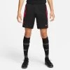 Nike FC LIVERPOOL Strike Hose Herren Schwarz-pink