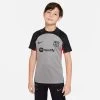Nike FC BARCELONA STRIKE Shirt Kinder Grau