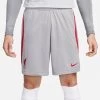Nike FC LIVERPOOL Strike Hose Herren Grau