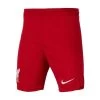 Nike FC LIVERPOOL Hose Home Kinder 23 / 24