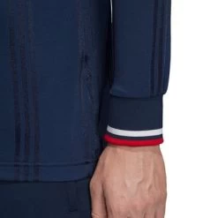 Adidas FC BAYERN MÜNCHEN ICONS T-SHIRT Herren Blau -Bester Sporttrikot Geschäft DX9225 APP on model detail 2 white