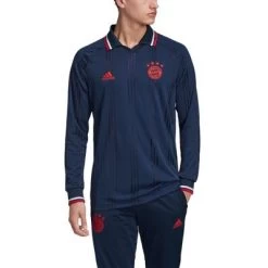 Adidas FC BAYERN MÜNCHEN ICONS T-SHIRT Herren Blau -Bester Sporttrikot Geschäft DX9225 APP on model front white