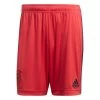 Adidas DFB DEUTSCHLAND Hose Torwart Herren EURO 2020 Rot