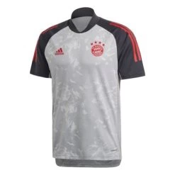 Adidas FCB BAYERN MÜNCHEN Trainingsshirt Herren Grau
