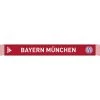 Adidas FC BAYERN MÜNCHEN Schal Fanschal Rot