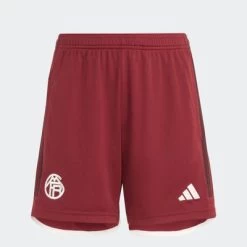 Adidas FC BAYERN MÜNCHEN Hose 3rd Kinder 23 / 24