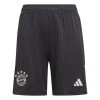 Adidas FC BAYERN MÜNCHEN Hose Torwart Kinder 23 / 24