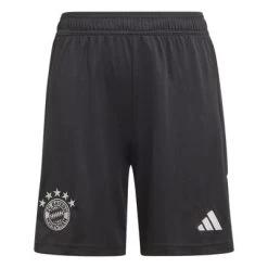 Adidas FC BAYERN MÜNCHEN Hose Torwart Herren 23 / 24
