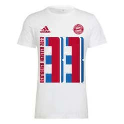 Adidas FCB BAYERN MÜNCHEN Meistershirt Herren 23 Weiß