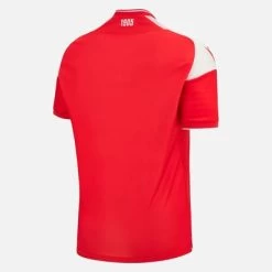 Bester Sporttrikot Geschäft -Bester Sporttrikot Geschäft a431f1ee0df908270e98820f7314bac458574048 02