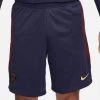 Nike PSG PARIS SAINT-GERMAIN STRIKE Short Kinder Dunkelblau-weinrot