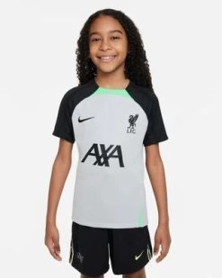 Nike LFC FC LIVERPOOL STRIKE Shirt Kinder Grau-schwarz