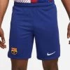 Nike FC BARCELONA Hose Home Herren 23 / 24