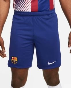Nike FC BARCELONA Hose Home Herren 23 / 24