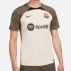 Nike FC BARCELONA STRIKE Shirt Herren Beige-grün