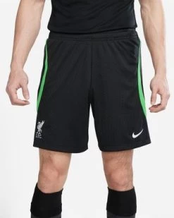 Nike LFC FC LIVERPOOL Strike Short Herren Schwarz-grün