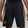 Nike PSG PARIS SAINT-GERMAIN STRIKE Short Herren Schwarz-gelb