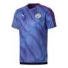 Puma MANCHESTER CITY Trainingsshirt Herren 19 / 20