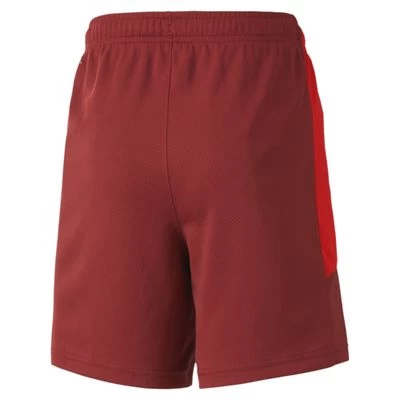 Puma SCHWEIZ Hose Home Kinder EURO 2020 Rot 2 Puma SCHWEIZ Hose Home Kinder EURO 2020 Rot – Bild 2