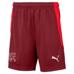 Puma SCHWEIZ Hose Home Kinder EURO 2020 Rot