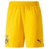 Puma BVB BORUSSIA DORTMUND Hose Herren Gelb 22 / 23
