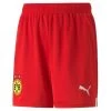 Puma BVB BORUSSIA DORTMUND Hose Kinder Rot 22 / 23