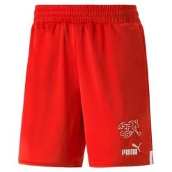 Puma SCHWEIZ Hose Home Kinder WM 2022