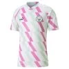 Puma MANCHESTER CITY PRE-MATCH Shirt Herren 2023