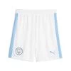 Puma MANCHESTER CITY Hose Home Herren 23 / 24