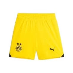 Puma BVB BORUSSIA DORTMUND Hose Herren Gelb 23 / 24