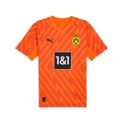 Puma BVB BORUSSIA DORTMUND Trikot Torwart Herren Orange 23 / 24